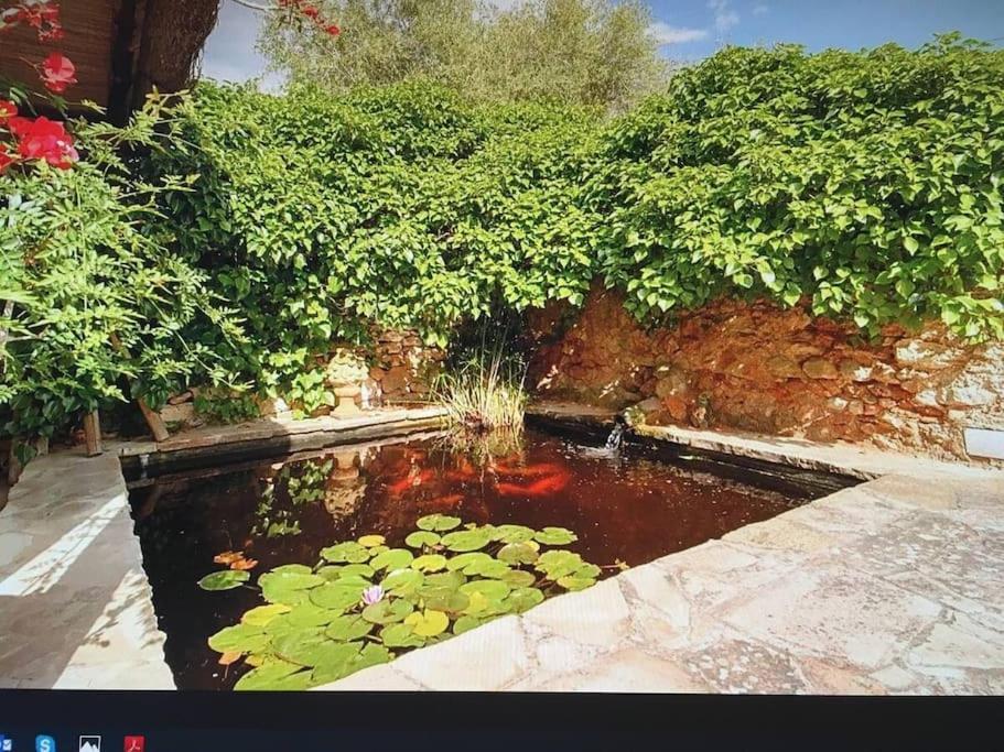 Authentic Ibicenco With Large Pool