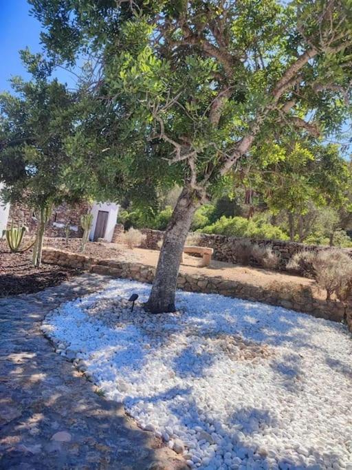 Authentic Ibicenco With Large Pool Villa