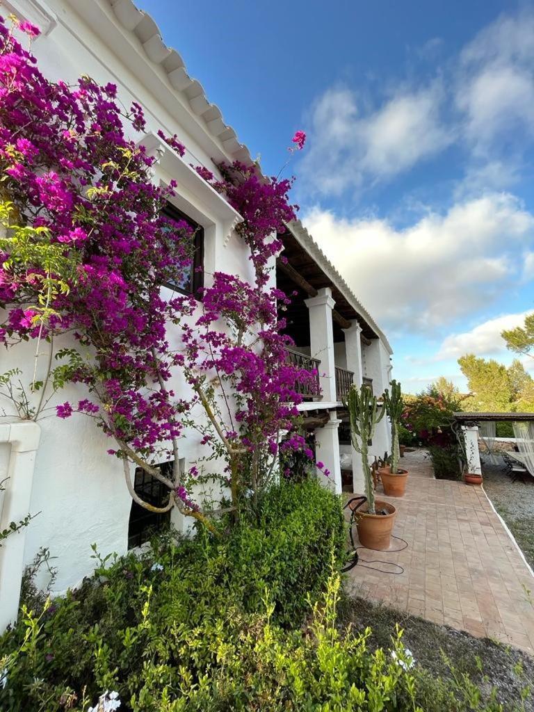 Authentic Ibicenco With Large Pool Villa *